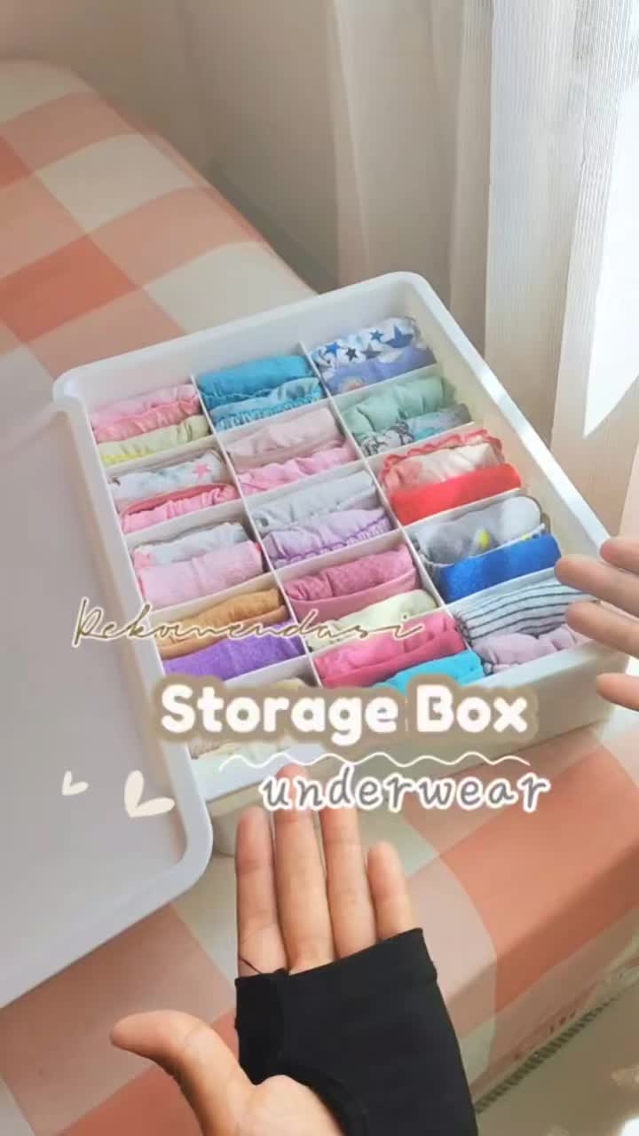Kotak Penyimpanan Pakaian Dalam / Kotak Penyimpanan Serbaguna Storage Box Kotak Penyimpanan Multifungsi Keranjang Plastik Serbaguna Mainan Plastic