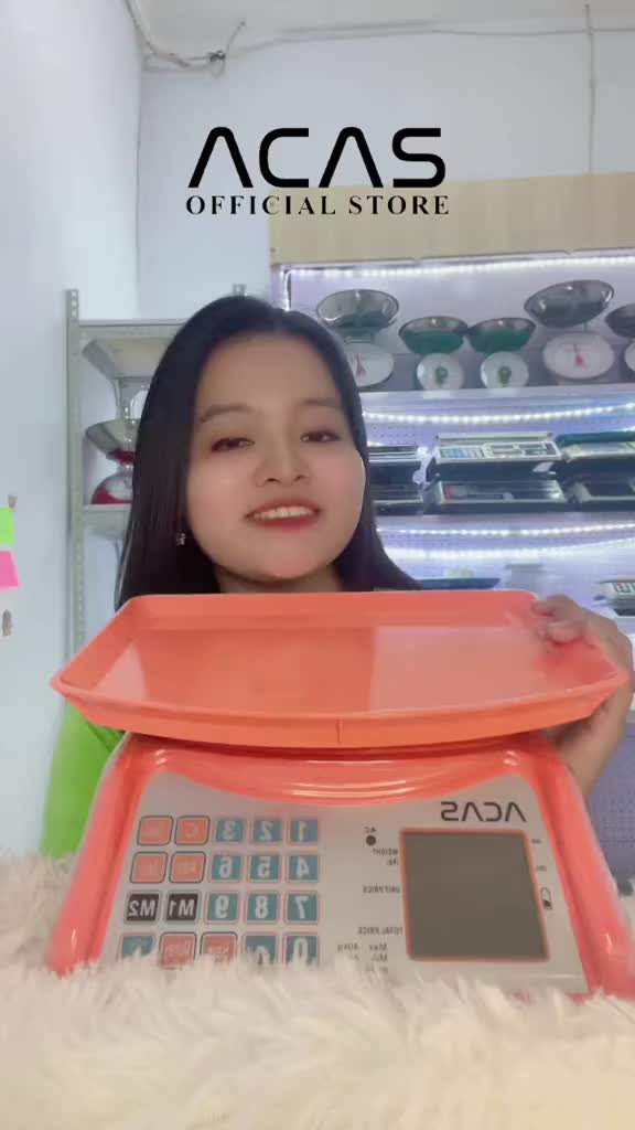 ACAS DY130 40Kg / 40Gr Timbangan Duduk Digital Meja Double Display Laundry Sayur Buah  Telur Sembako Paket Ekspedisi Murah Garansi Electronic Computing Scale 40 kg