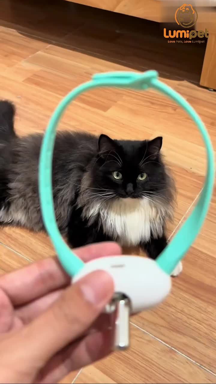 LUMIPET Kalung Laser Mainan Kucing Collar Lampu Laser LED Aksesoris Hewan Peliharaan Dengan Dua Mode Cara Bemain