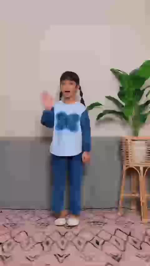 Setelan Anak | One Set Soft Jeans Bordir Butterfly
