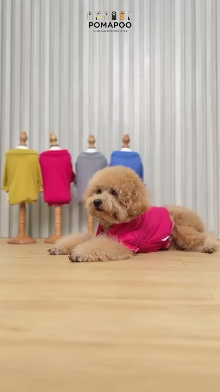 POMAPOO - Baju Kucing dan Baju Anjing Madame Tee