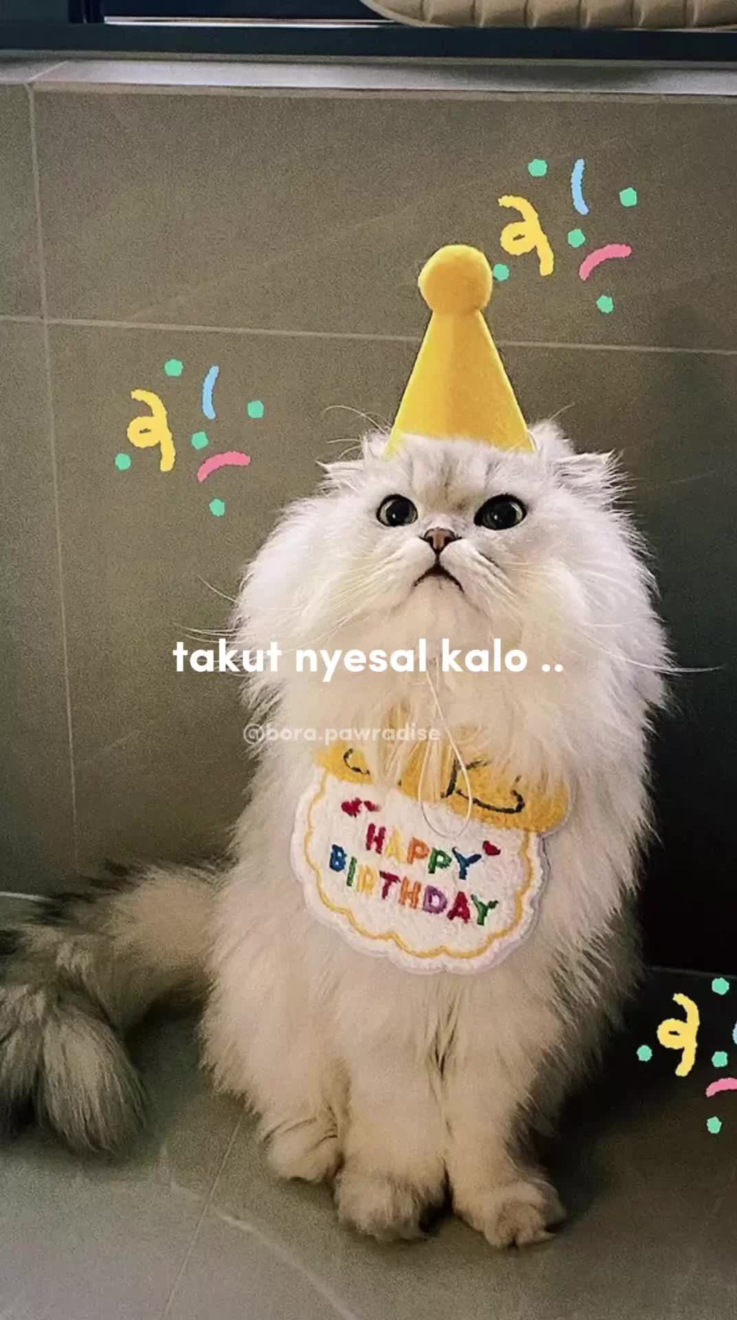 Bib Ulang Tahun Kucing / Bib Ulang Tahun Anjing / Birthday Pet Bib / Topi Ulang Tahun Anjing / Topi Ulang Tahun Kucing
