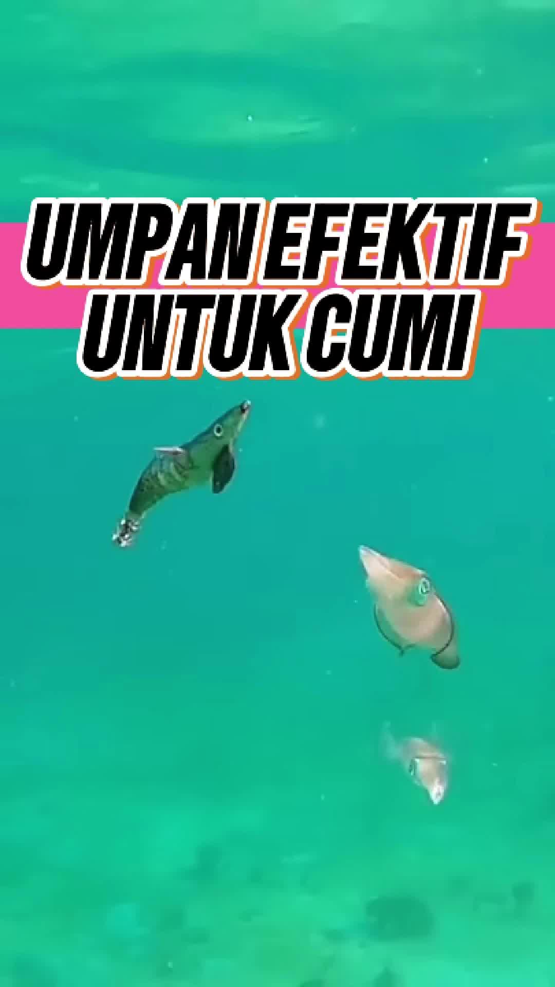 SUPERSTAR EGI ASTRO 1.5 2.0 2.5 | RIPTIDE EGI SELENA 2.5 UMPAN PANCING RIPTIDE LUNAR CUMI GLOW IN THE DARK DAN RATTLE Umpan Pancing Cumi Glow In The Dark dan Rattle Ikan Jig Lure Mancing Laut
