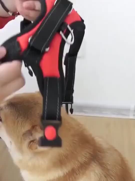 Harness Anjing - Rompi Tuntun Anjing Ras Besar - Breathable Harness Leash Anjing Besar