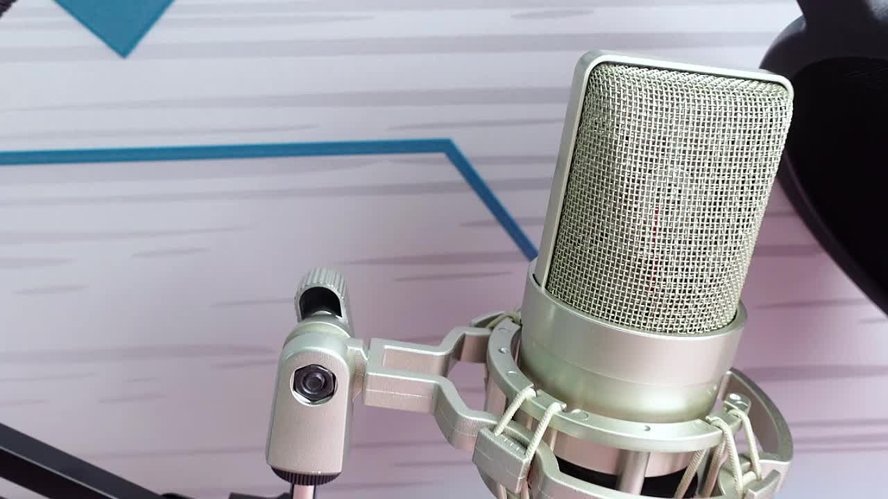Siborie 103 mic Capacitive microphones with anti-vibration stand SET