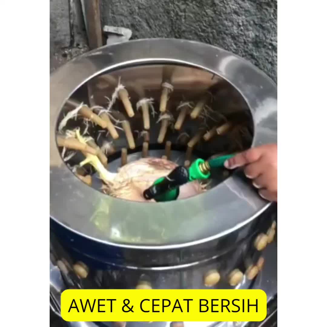 Karet Mesin Cabut Bulu Ayam Lentur Awet Kualitas Grade A Coklat Hitam Kuat
