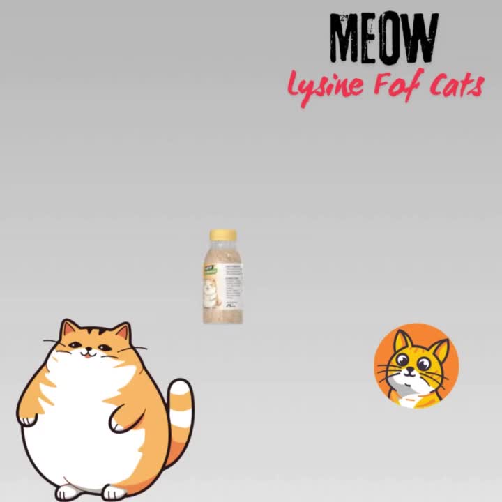 Vitamin Kucing Lysine Murni Untuk Imunitas Dan Nafsu Makan Vitamin Anjing DELLO FOR CAT