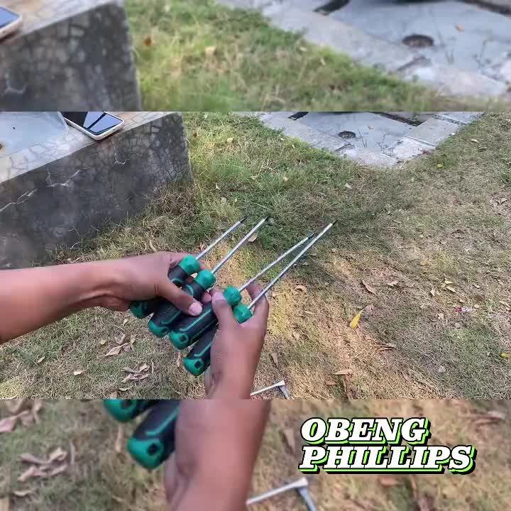 ISKU Obeng Plus Minus Magnet/Screwdriver Sets Alat Perkakas obeng set