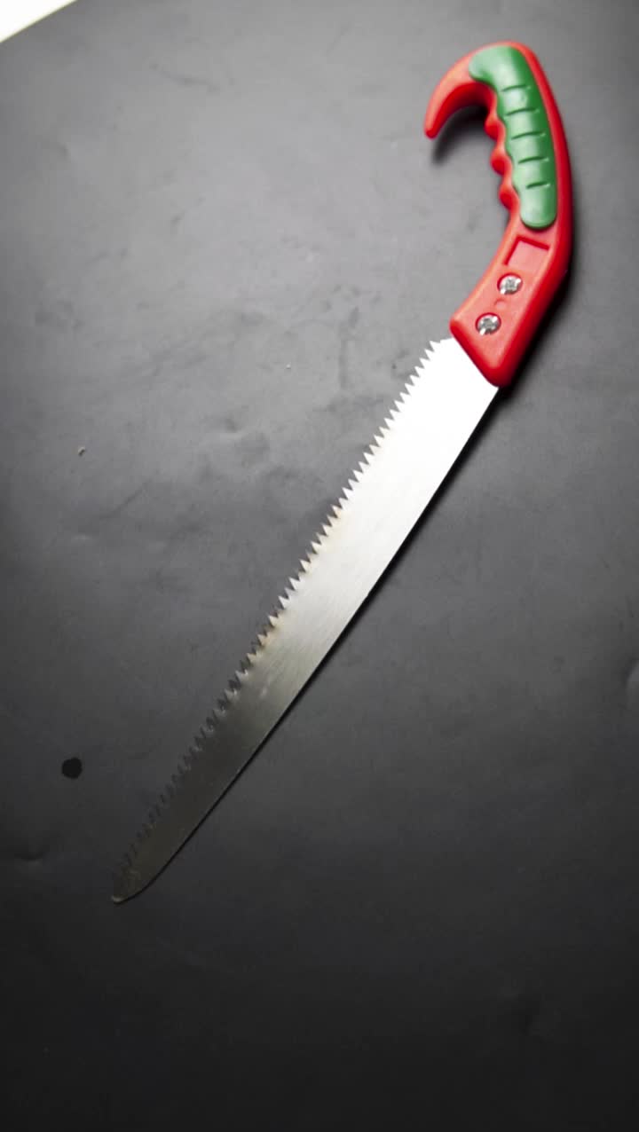 ALLEFIX Gergaji Ranting 250MM Dahan & Kayu dengan Handle Nyaman - 6680