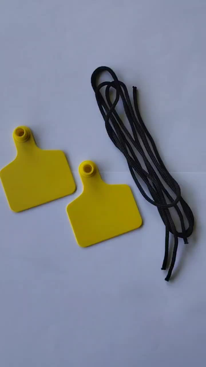 Neck Tag Kalung Domba Sapi Kambing Large Ukuran 6x7 +Tali Necktag