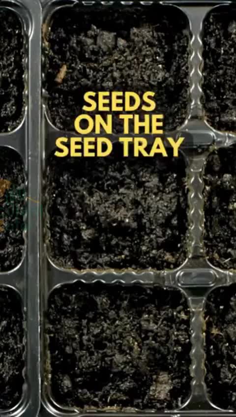 [10pcs]0.8MM Tray Semai 21/32/50/72/98/105/128/200 lubang seeding tray tray semai yang sesuai Pot   tray semai gratis ongkir Set Benih Tanaman