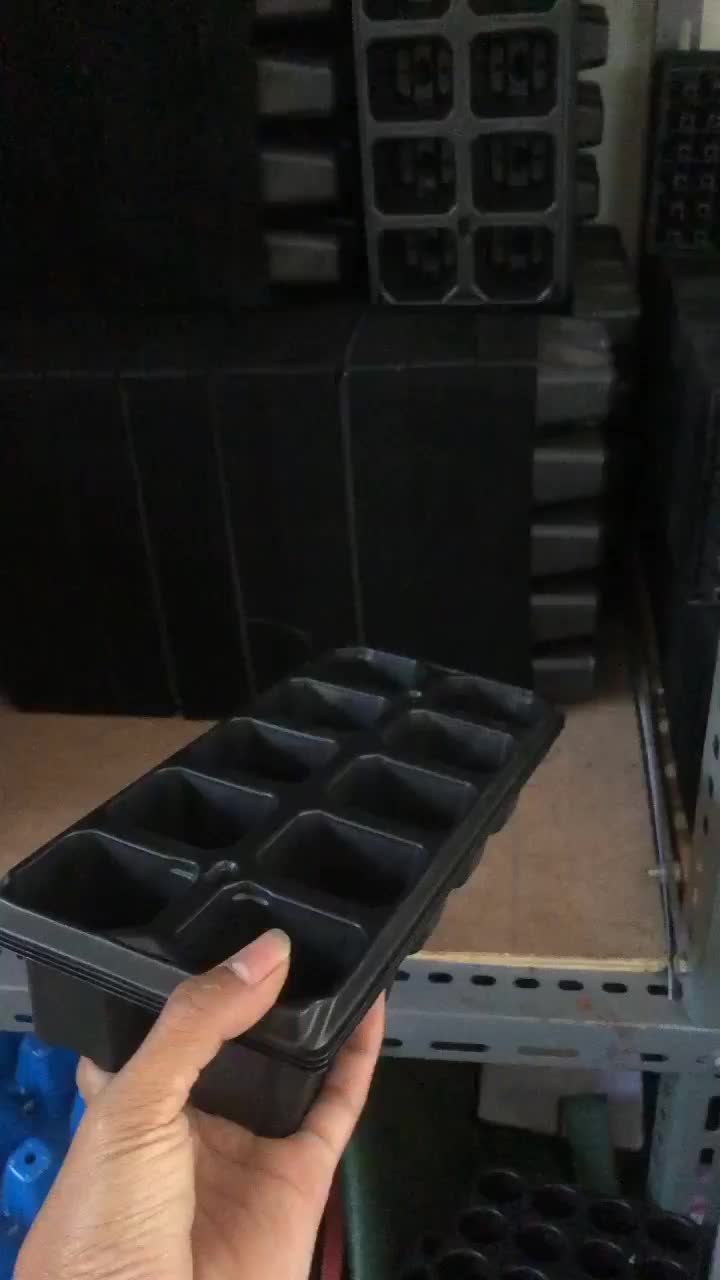 Tray Semai mini lubang 10 plus handle