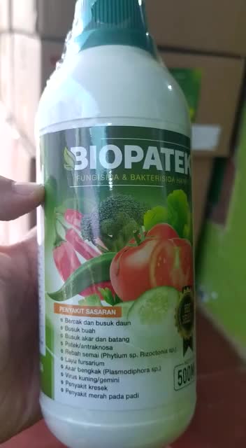 500ml BIOPATEK Obat Bercak Daun dan Busuk Buah, Busuk akar dan Batang, Patek/antraknosa, Layu fusarium Buah Cabe, Tomat, Brokoli, Kacang, Kentang, Mangga Pupuk Organik Semprot Atasi Hama Penyakit Virus Tanaman Paling Bagus 100% ORIGINAL Jamur Merah
