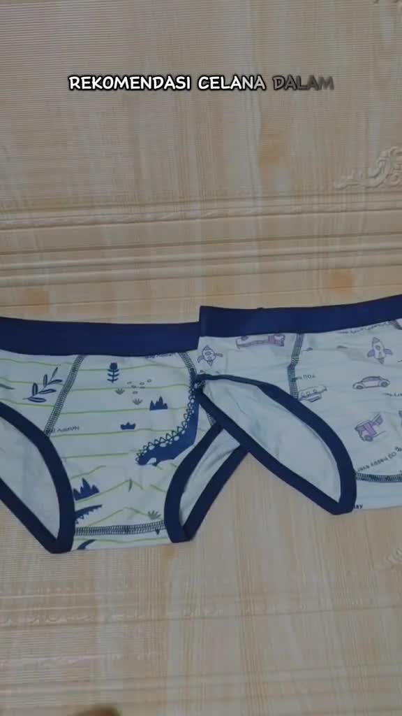 Celana Dalam Anak 4 Pcs Random Katun Celana Dalam Laki-Laki Motif W301 Fashion Dinosaurus