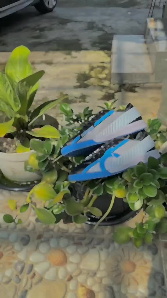 sepatu futsal specs pria premium terbaru paket komplit sepatu  specs ortus x  tango sepatu  futsal sepatu  futsal