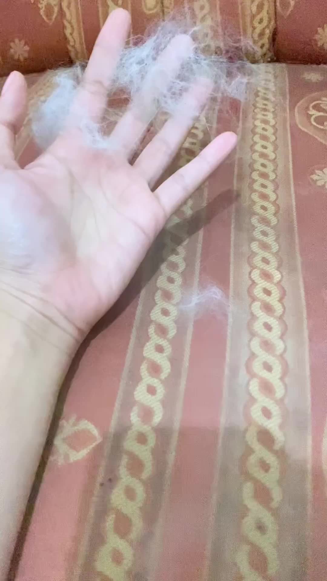 Holycatlabs Glowcat Shampoo All In One Kucing  50ml