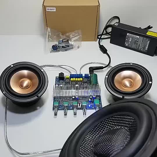 【COD】 TPA3116 Bluetooth Amplifier 2.1CH 2x 50W + 100W NE5532  Bass Tone Original Dual Chip 32 Pin GG-5510T