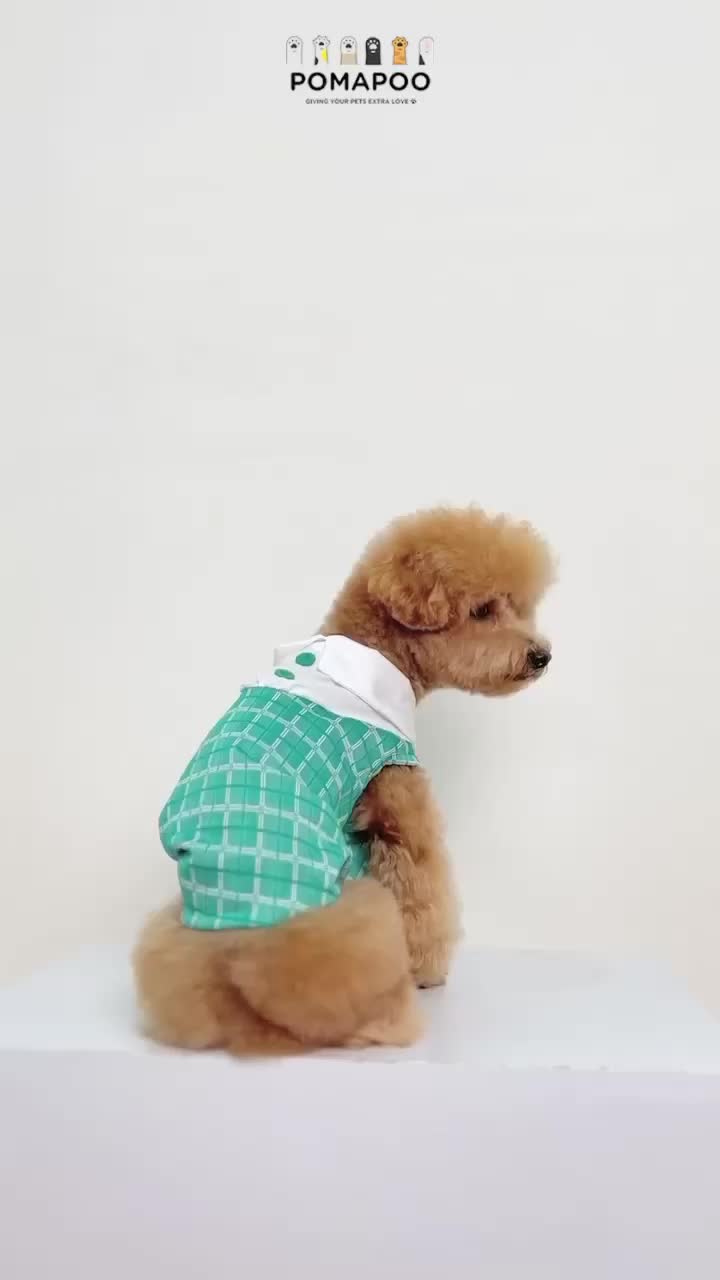POMAPOO - Baju Kucing dan Baju Anjing Cornelia Dress Dan Cornel Polo