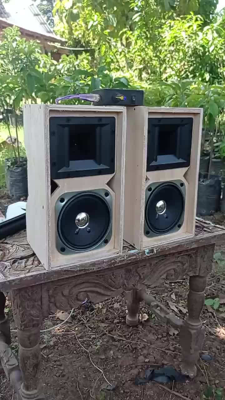 [HARGA 1 BOX] Miniatur Line Array 4 inch Single plus Tweeter Audax AX65