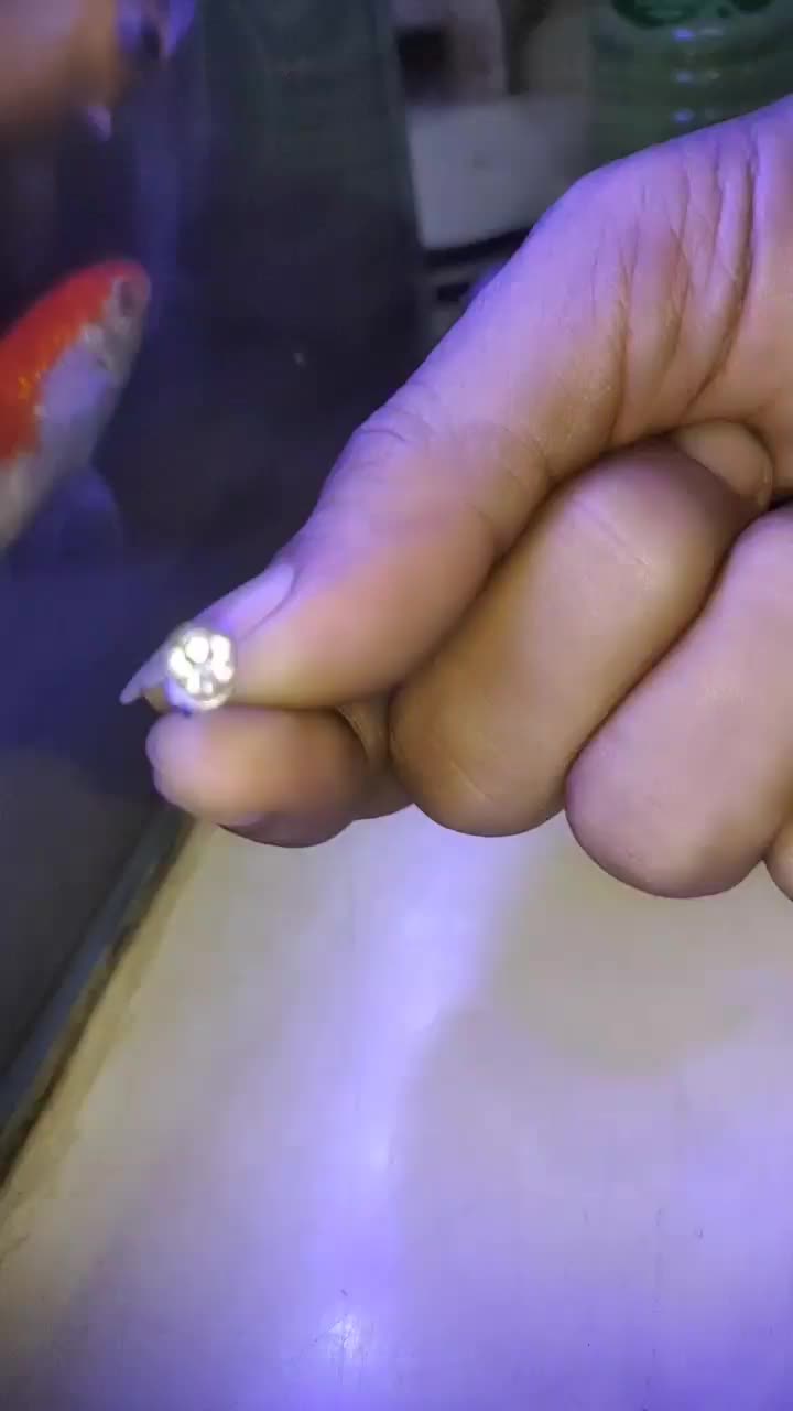 Anting magnet, Anting Tempel, Anting Pria Dan wanita,anting tampa tindik
