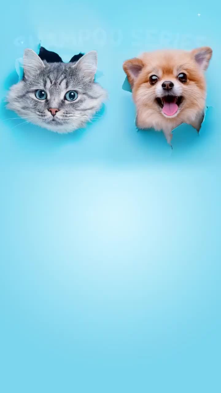 Shampoo Kucing Anjing NOMNOM Cluppy series 250 ml