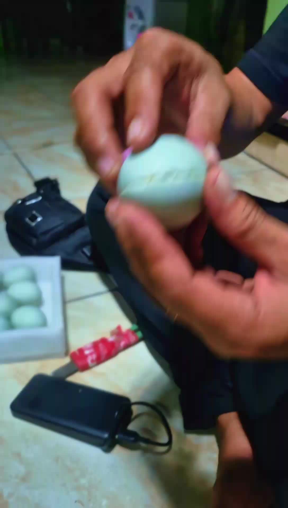 isi 10 Butir Telur Asin Masir Dan Berminyak Sudah Matang Siap Santap Tinggal Di Makan