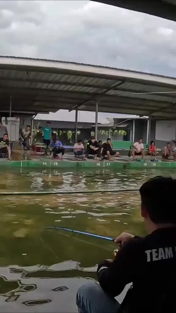 Essen Jahat 30ml essen mancing Ikan lele Galatama Lomba Target Babon Indukan Umpan Pancing memancing dengan umpan buatan