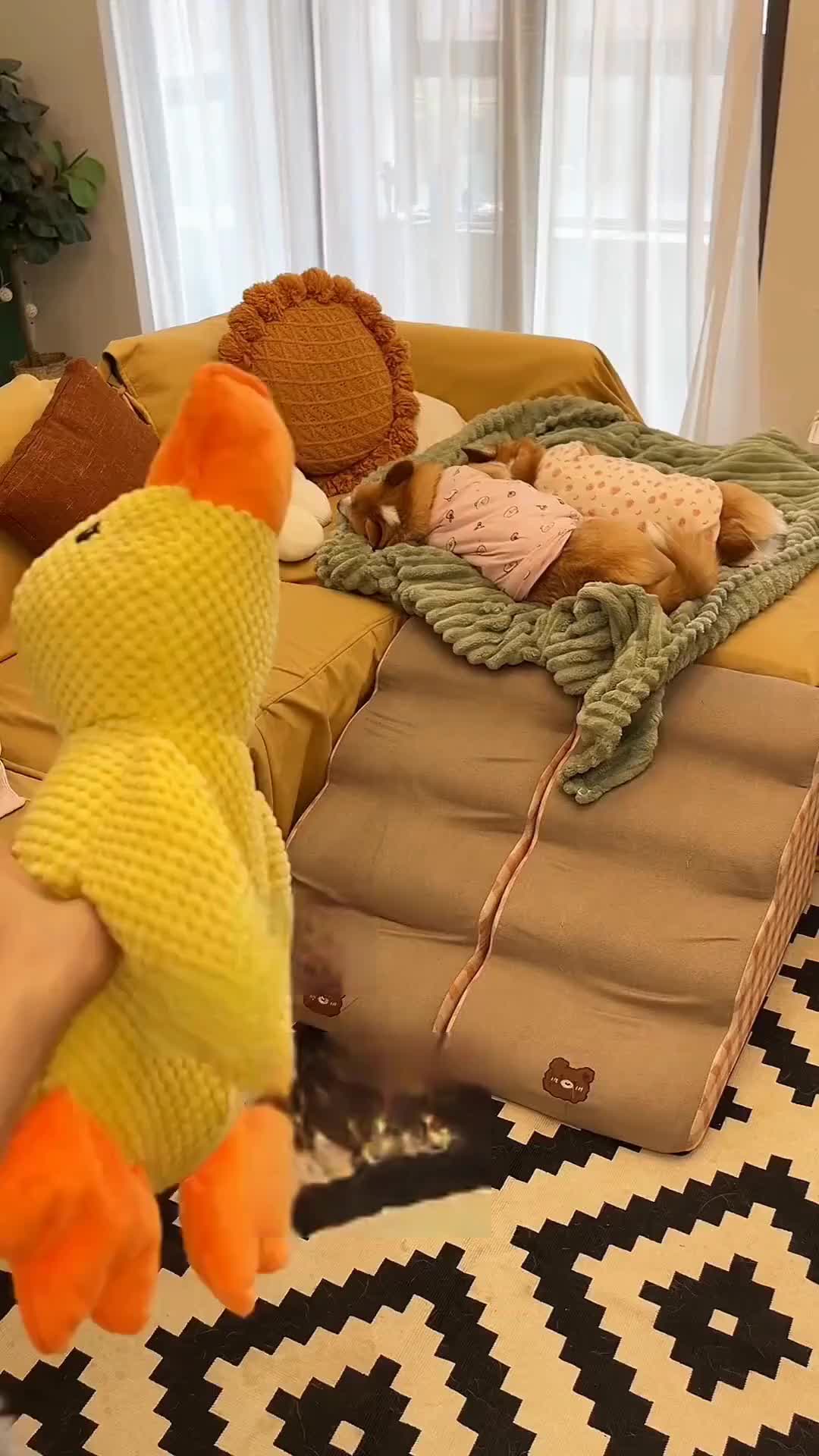 Mainan anjing, boneka anjing, anjing pendamping, mainan suara anjing, katun berkualitas tinggi Mainan Anjing Boneka Pendamping Suara Berkualitas Tinggi- Katun Berkualitas Tinggi