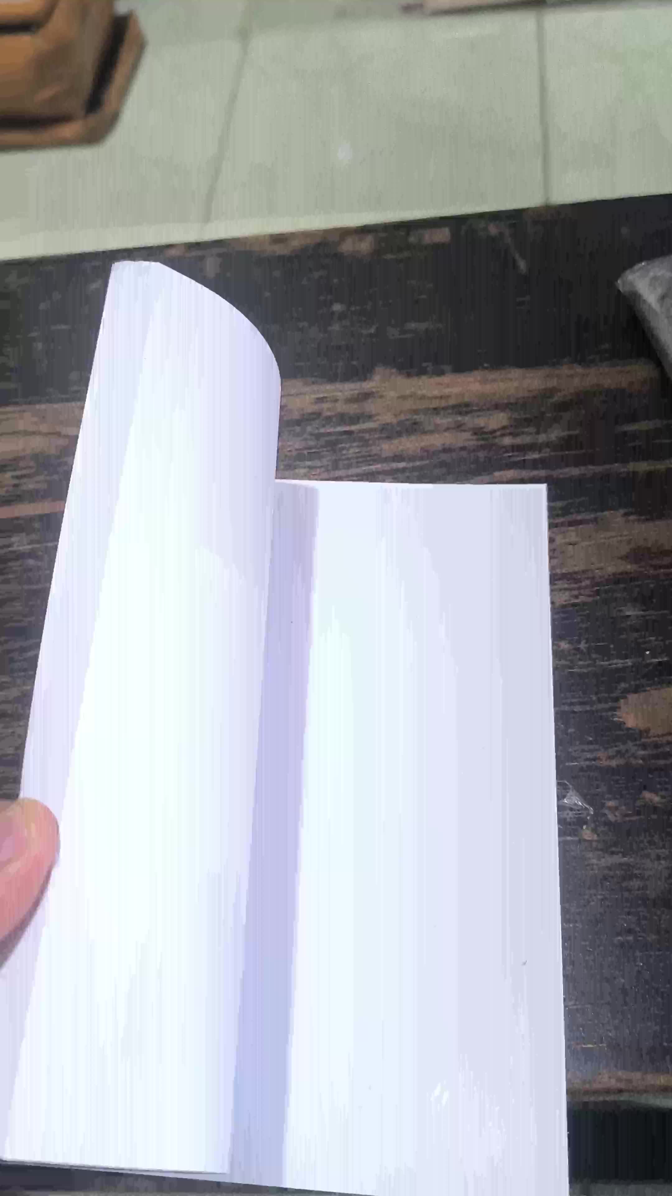 Buku Sakti Cabai segala jenis varietas full collor, serius 3,karangan, Daniel MBJ