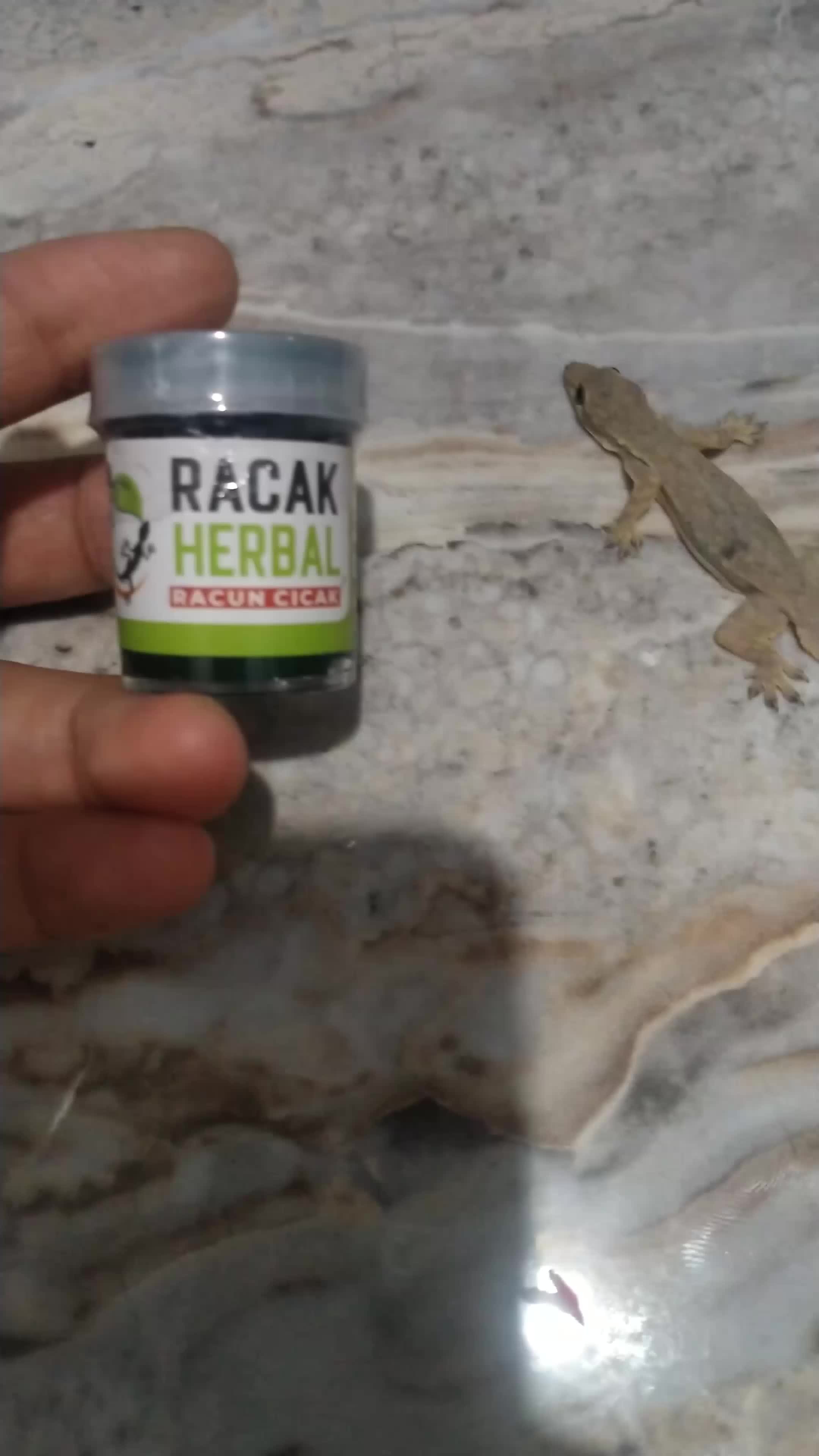 Racak Racun Cicak Herbal Isi 3 Botol 20gr paling Ampuh