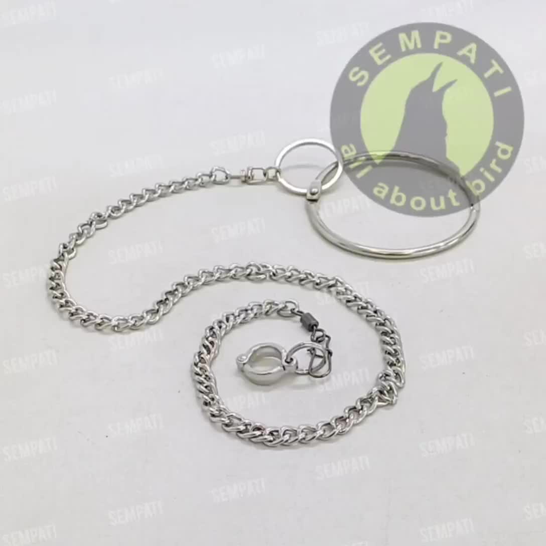 SEMPATI Rantai Kaki Kakatua Medium Fullset Gelang Ring Borgol 10 Mm Free Flaying Ff Rantai Gelang Kaki Burung Kakatua Medium Rantai Training Latih Burung Kakak Tua Kaka Tua Beo Merpati Ayam Serama Dll