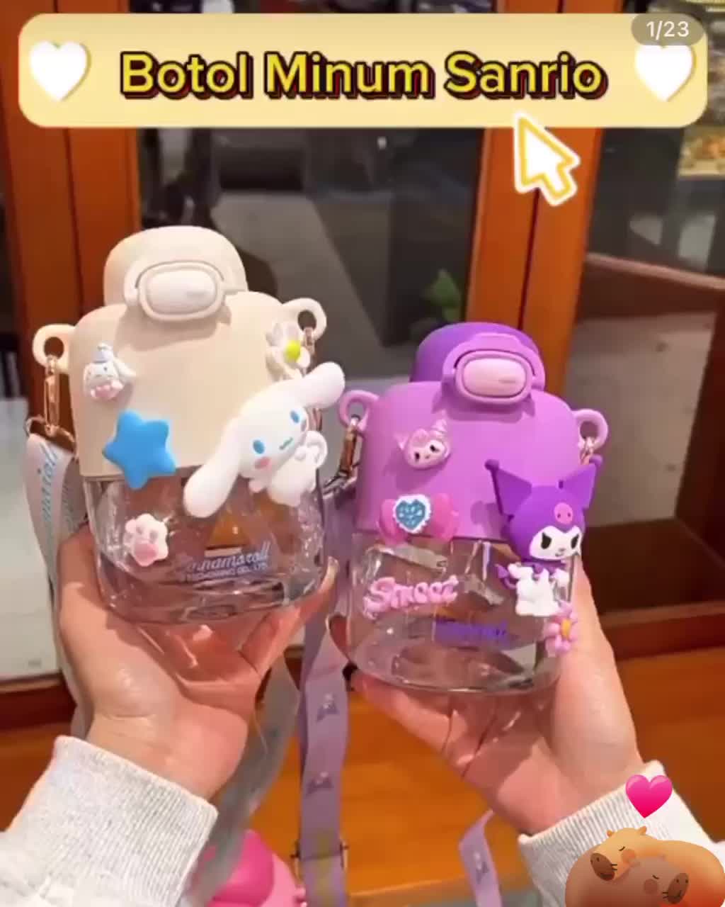 Botol Minum Anak Motif Karakter Botol Minum anak lucu Sanrio Melody Kuromi Cinnamoroll 550ml Sedotan Tali Bottles Kitchenware Water