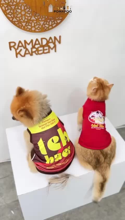 POMAPOO - Baju Lebaran Kucing dan Baju Anjing Eid Series