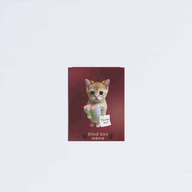 blindbox meme cat / boneka karakter / meme kucing / meong meong