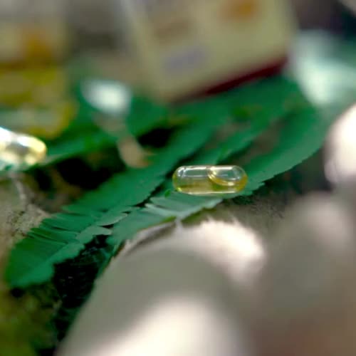 OLIMEX - Kapsul Minyak Ikan Gabus 60 Kapsul Albumin Ikan Gabus Channa Striata Oil Luka Pasca Operasi Sesar
