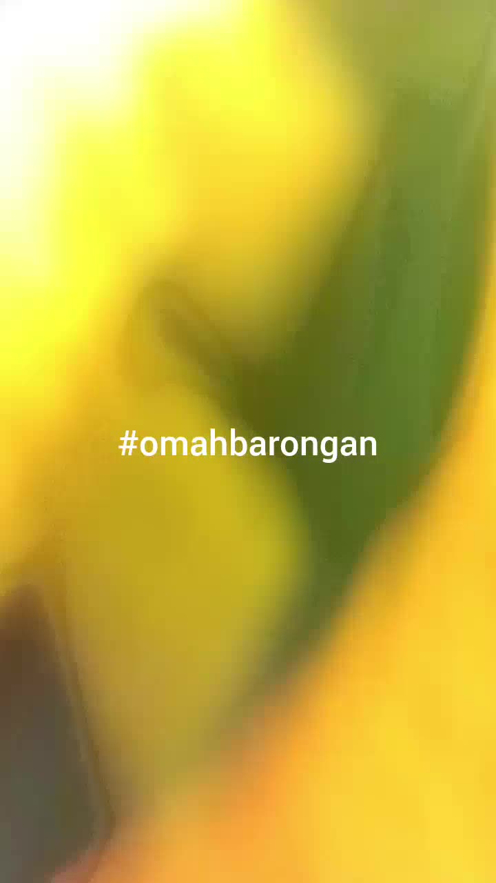 Celana Barongan Anak SD SMP Warna Merah Hijau Biru Hitam Putih