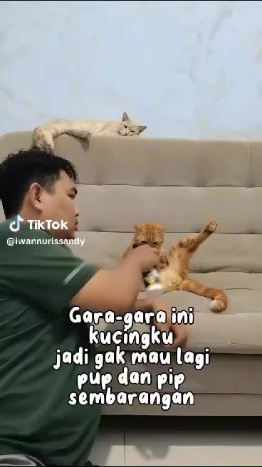 Remov Pengusir Kucing Liar Anti Tikus Semut dan Kecoa 250ml