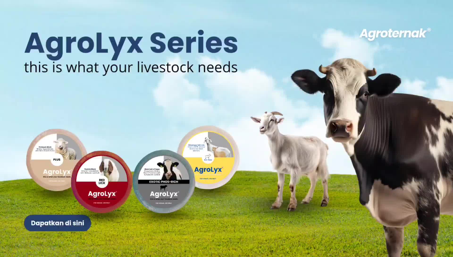 MINERAL BLOK Block Premium Premix Permen Jilat Hewan Ternak Kambing Domba & Sapi