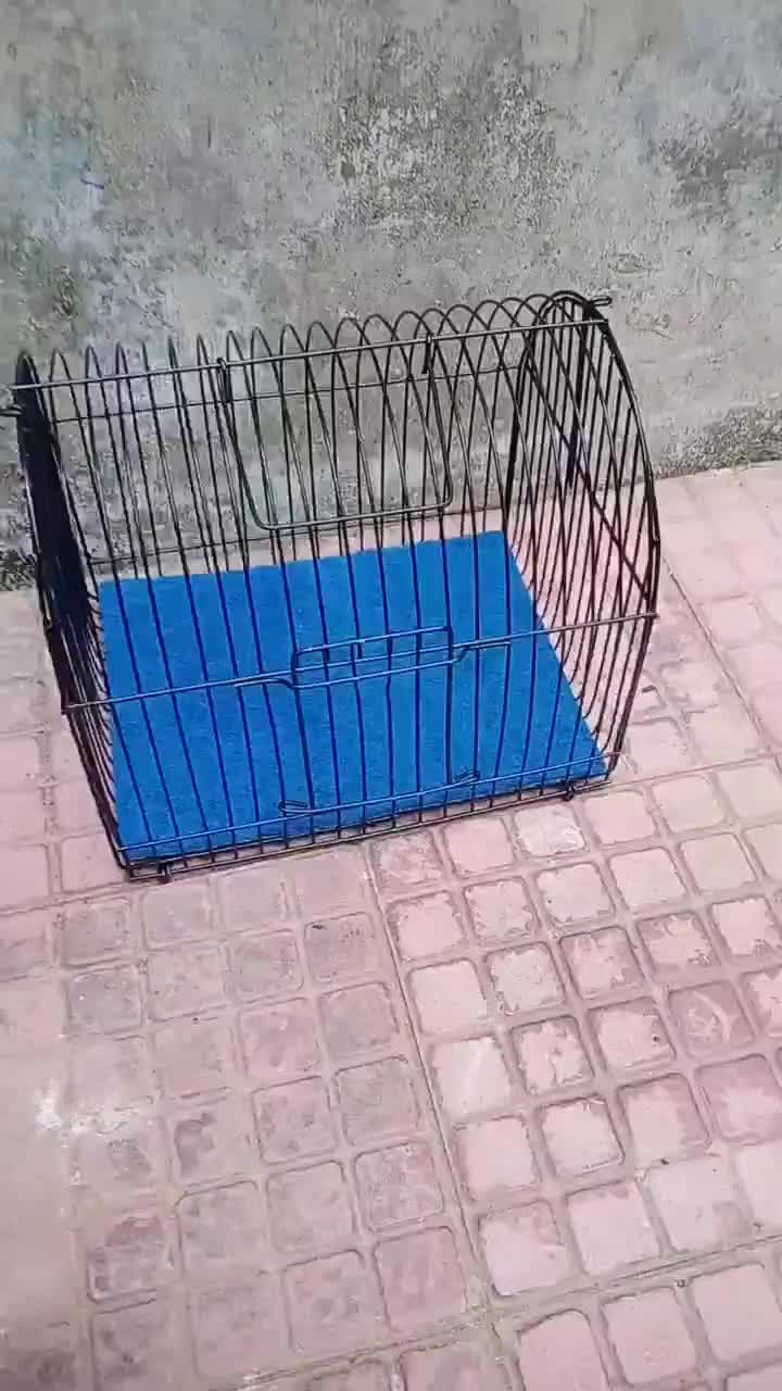 Sangkar Untulan Besi Mini untuk Sogon, Konin, Kolibri, Pleecii, Hamster, Marmut, Sugar Glider, dan hewan kecil lainnya. Gratis karpet alas tebal.