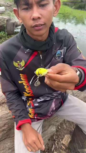 Umpan SoftFrog APHD Lure Gabus & Toman