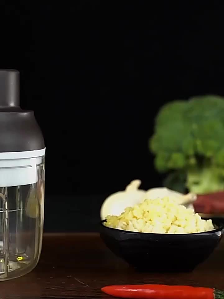 PREMIO Mini Chopper Blender Portable Penggiling Bumbu Dapur Daging