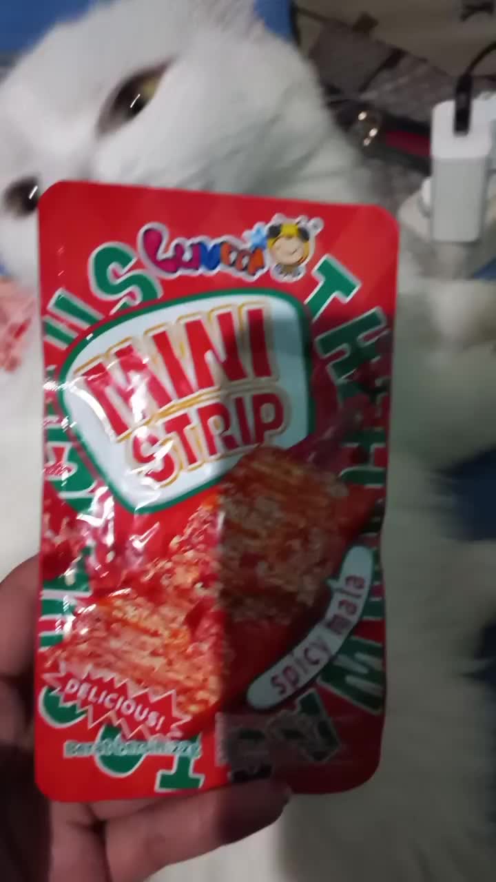 Latio mini strip dan latio strip