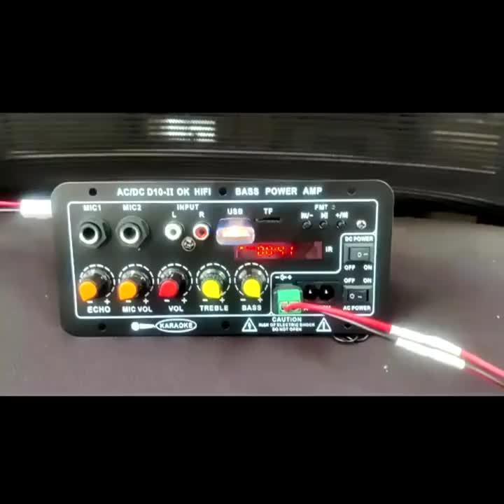 D10-Ⅱ Power Amplifier Board Untuk 8-12 Inci Speaker AC 220V DC 12V 24V HIFI Penguat Daya Subwoofer Dual Mendukung USB TF Remote Control Dengan Tampilan Digital Equalizer Bass