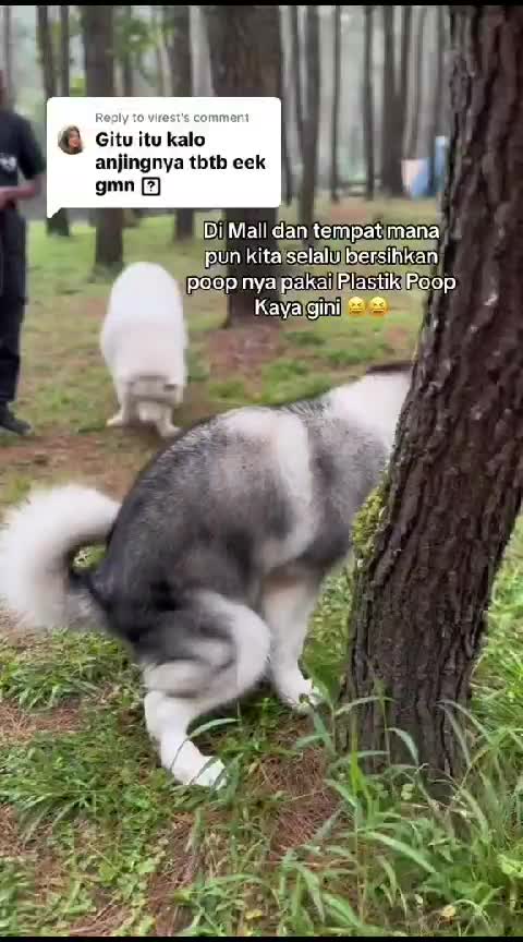 KANTONG PLASTIK SAMPAH REFILL POOP BAG KOTORAN ANJING kucing organik