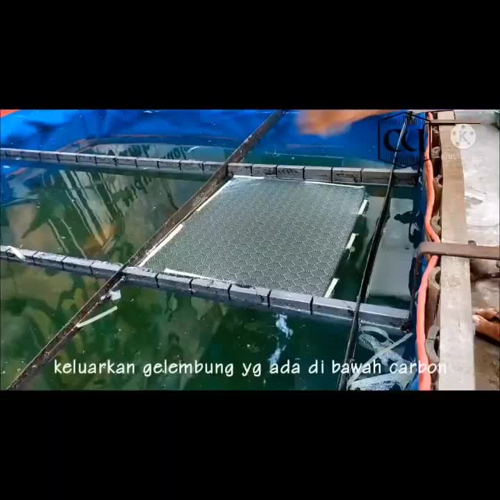 Carbon Celup Motif Hexagon Carbon WTP Water Transfer Printing