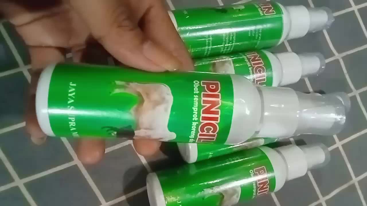 pinicillin spray obat luka borok gudik scabies gatal untuk hewan ternak