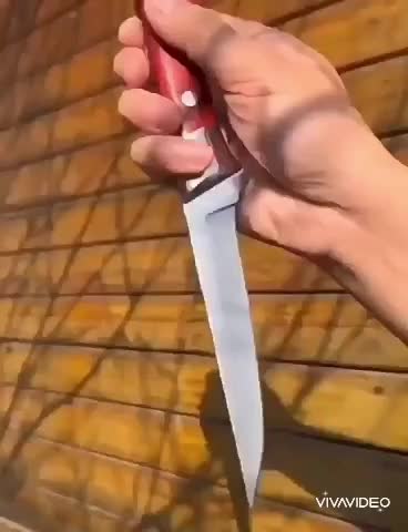 Pisau Tulang, Daging, dan Buah - Alat Dapur - Kitchenware, BESAR
