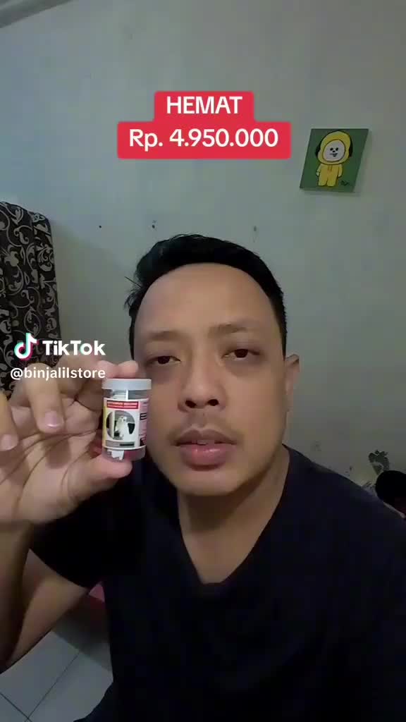 KAPSUL AJAIB-obat virus kucing panelukopenia Distemper Fip Paling Ampuh Antivirus Cat