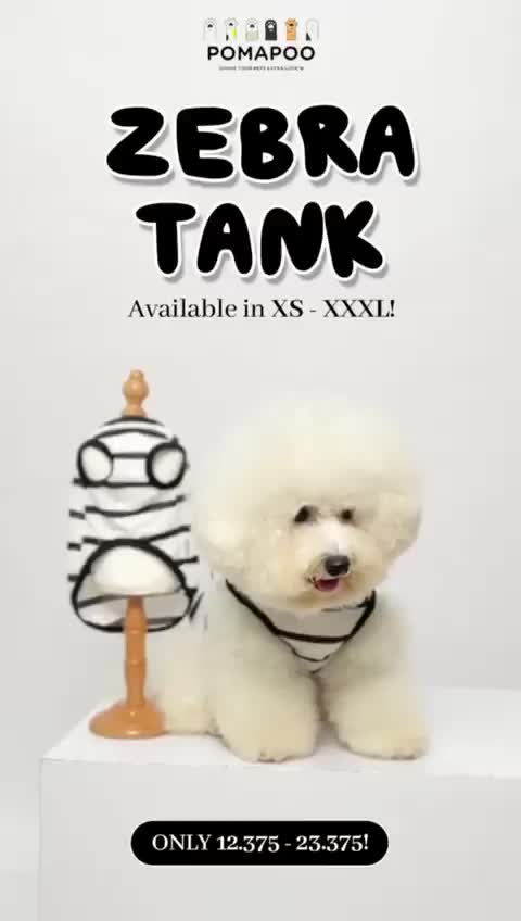 POMAPOO - Baju Kucing dan Baju Anjing Zebra Tank
