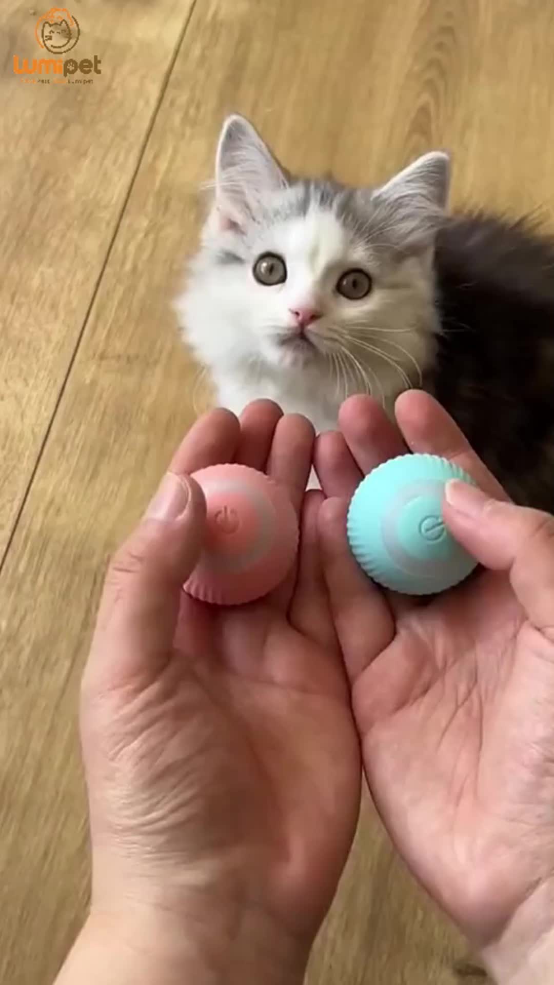 LUMIPET Smart Rotating Ball For Pet / Mainan Bola Kucing Ball For pet Mainan anjing kucing interaktif pintar Interaktif Anti Stress mainan hewan peliharaan kecil dengan lampu warna-warni Bola Listrik Bergulir